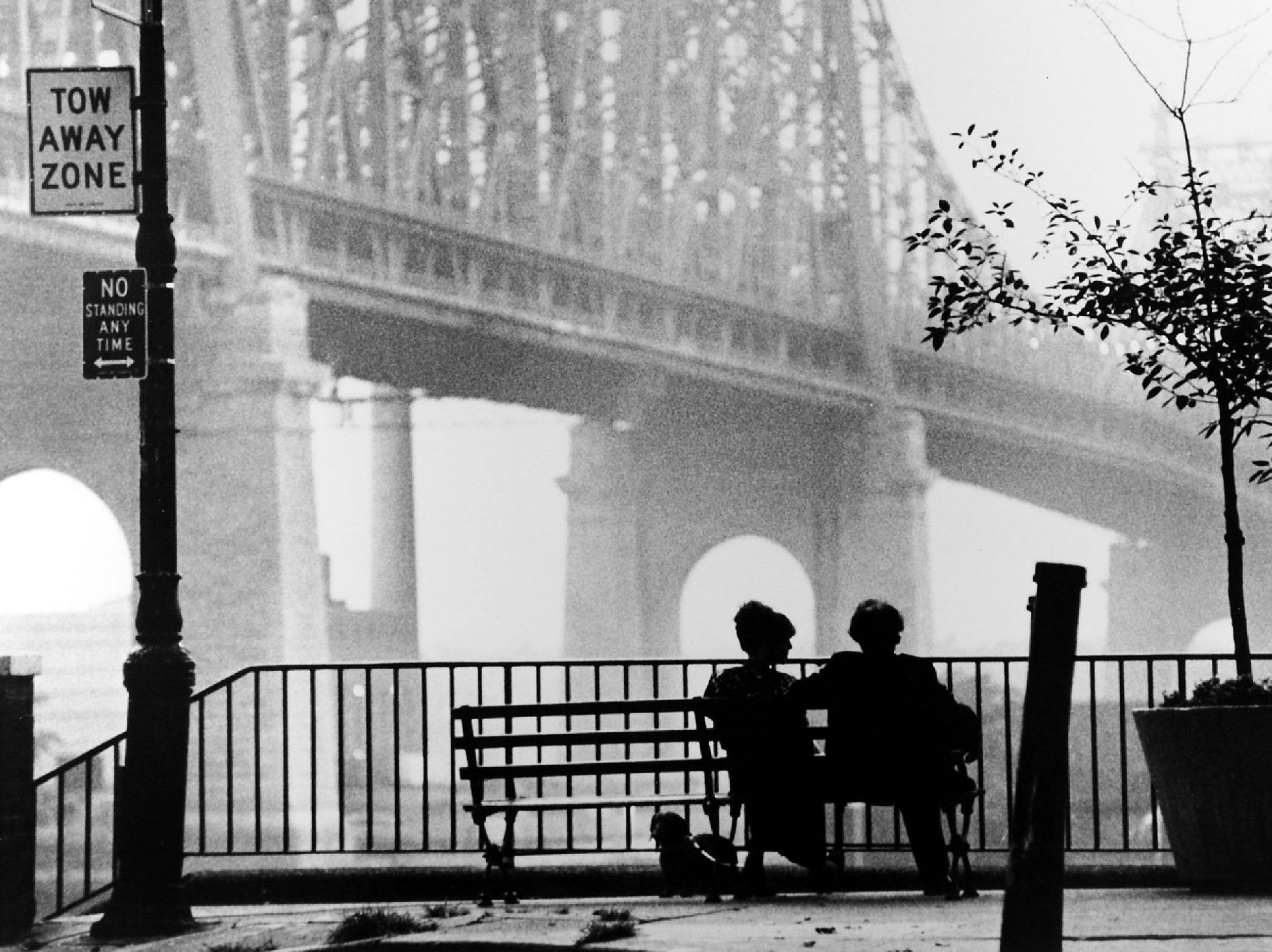 These films will all make you fall in love with New York