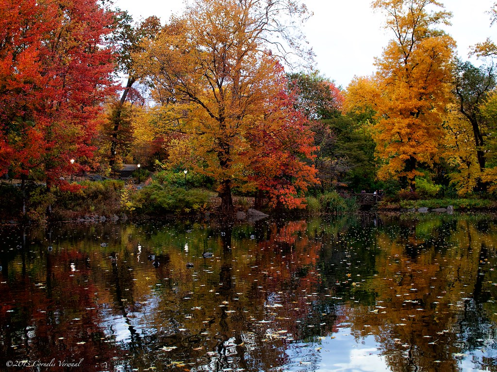 Autumn Pool Wallpapers - Wallpaper Cave