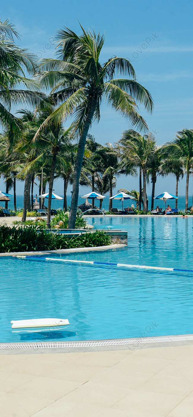 Swimming Pool Wallpaper Image Free Download