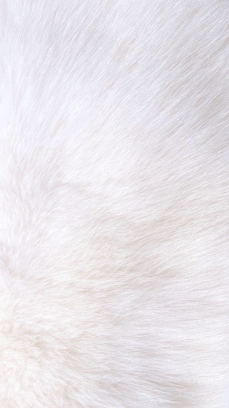 White fur iPhone wallpaper. White background wallpaper, White wallpaper, Samsung wallpaper