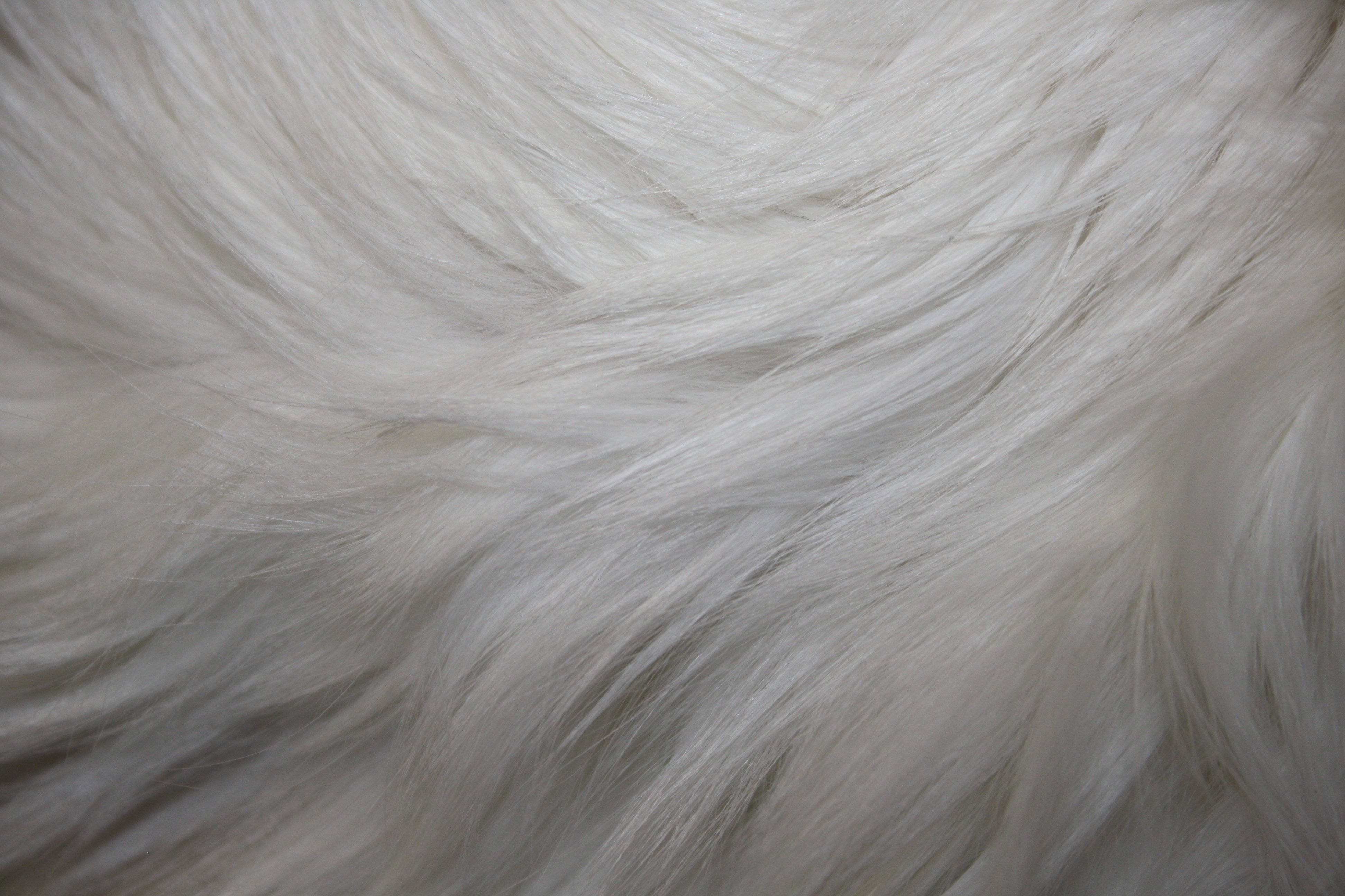 Download White Smooth Animal Fur Wallpaper
