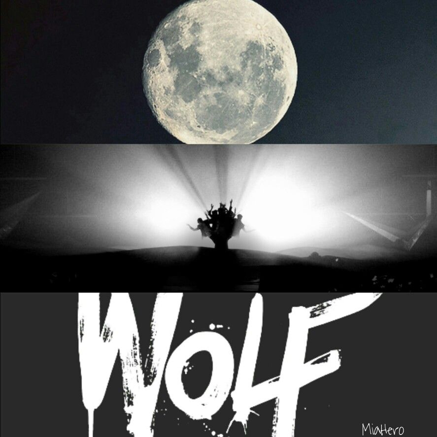 EXO #Wolf #Wallpaper #Lockscreen #Aesthetic #Kpop. Celestial, Wallpaper, Tumblr pages