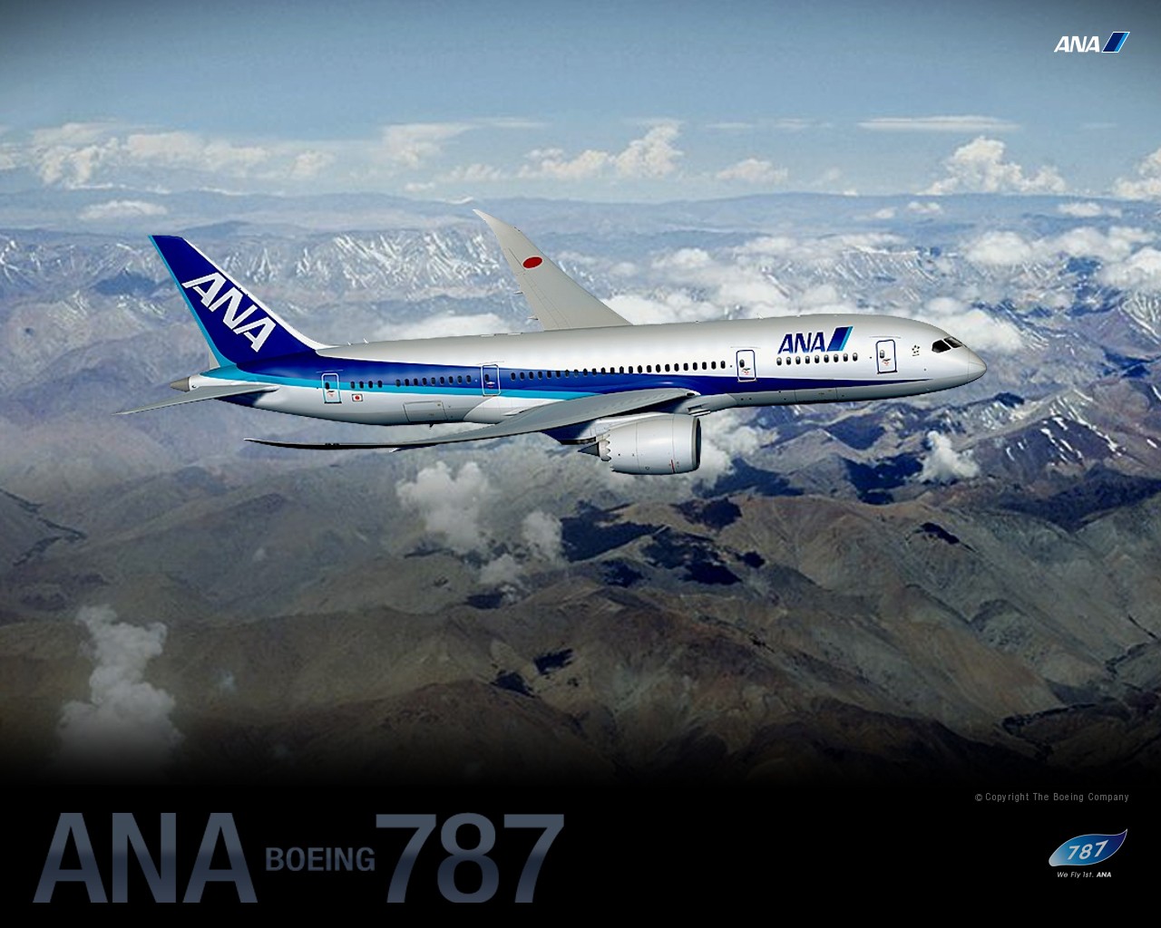 ANA All Nippon Airways Boeing Dreamliner wallpaper 30456