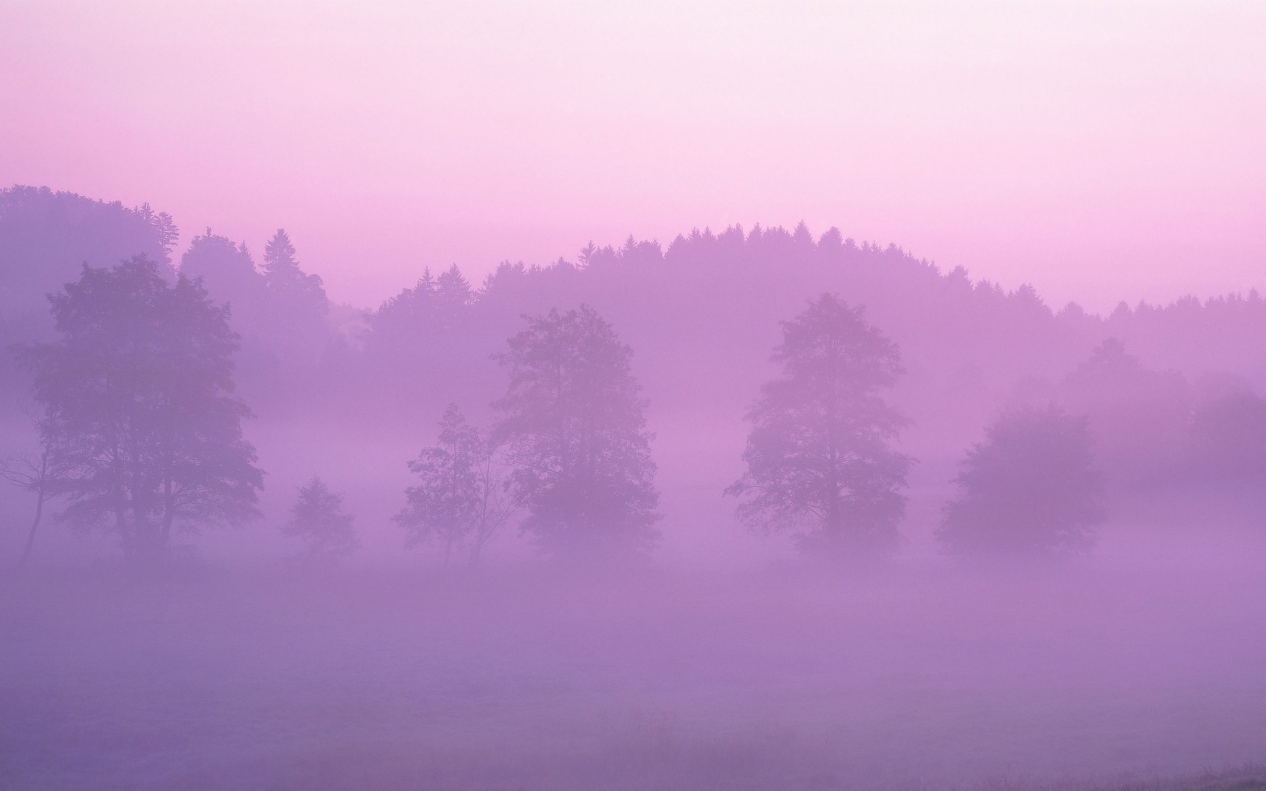Early Morning Fog Wallpaper