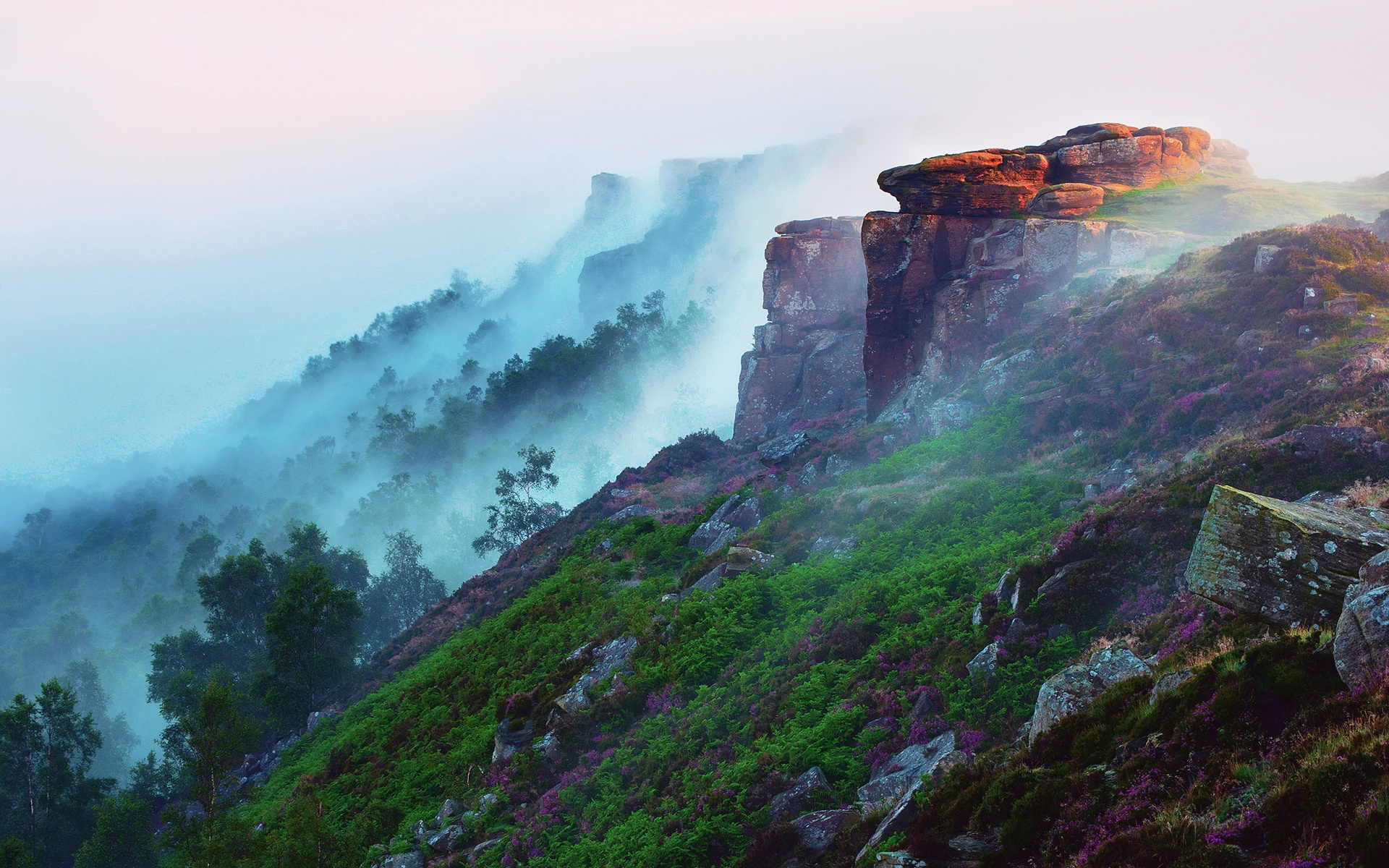 Wallpaper Early morning mountain landscape, forest, fog, flowers, grass, stones 1920x1200 HD Picture, Image