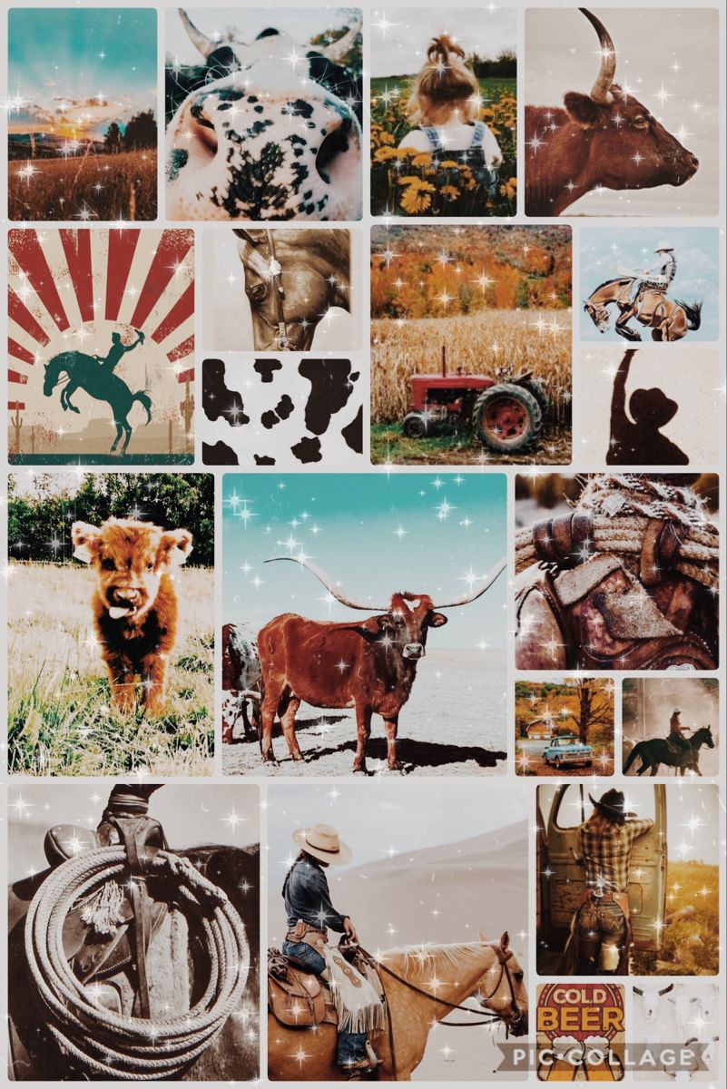 Country wallpaper. Cow wallpaper, Western aesthetic wallpaper, Horse wallpaper