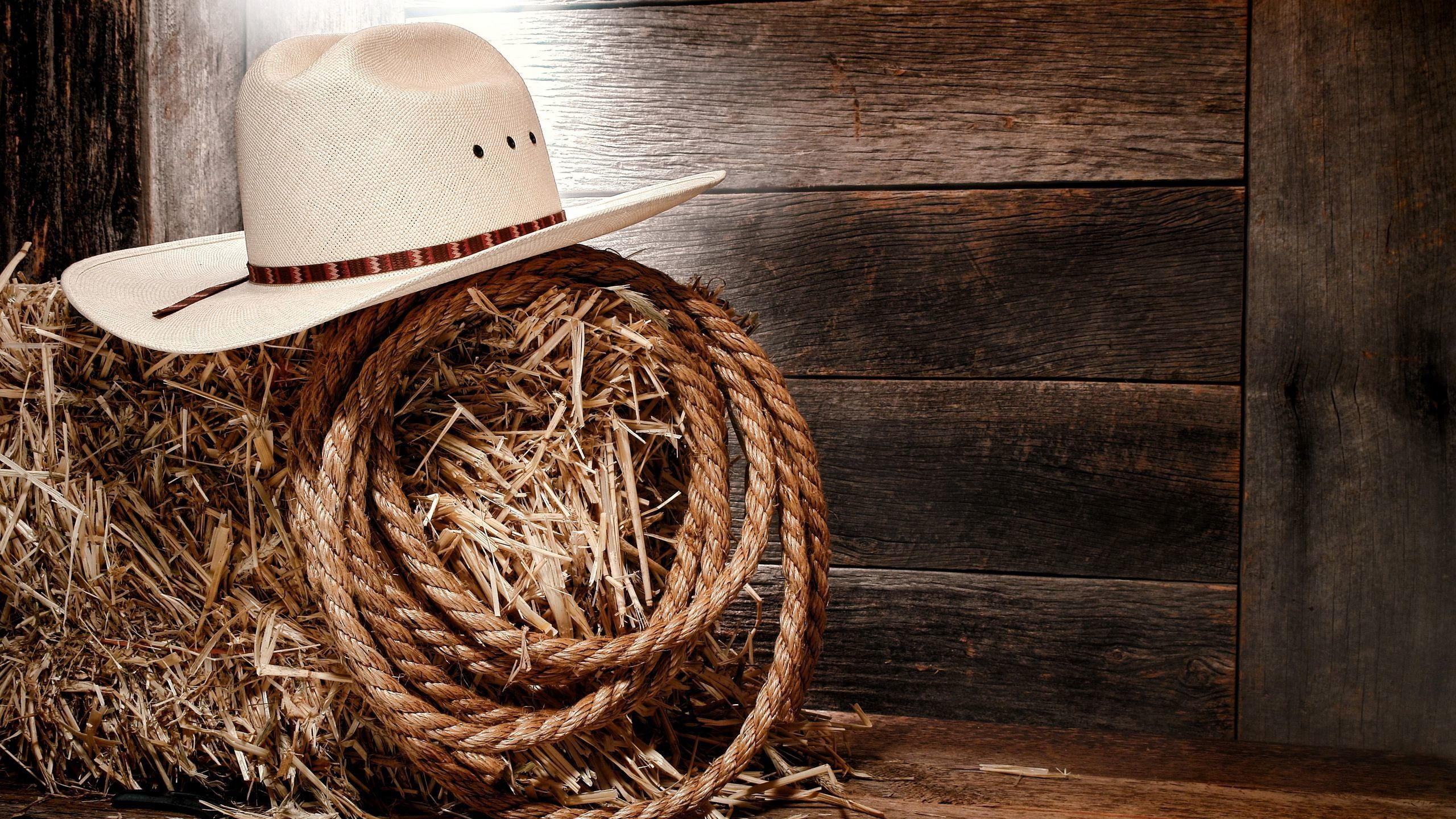 Download wallpaper USA, hat, Style, wooden, country, Texas, cowboy, boots, America, rope, hay, boards, horseshoe, cowboy hat, section miscellanea in resolution 2560x1440