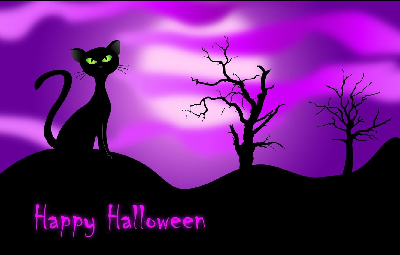 Wallpaper cat, night, black, Happy Halloween image for desktop, section праздники