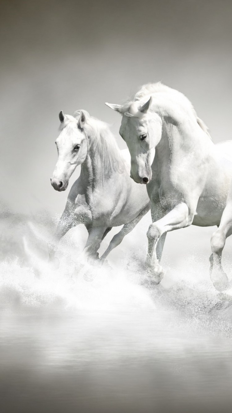 White Horses, Majestic, Running, Water Splash, Beach Running Wallpaper iPhone