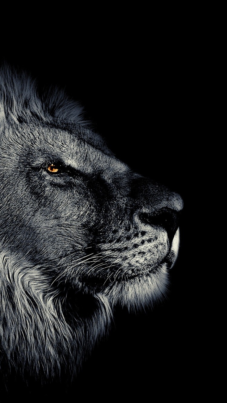 Dark Screen iPhone Wallpapers Wallpaper Cave