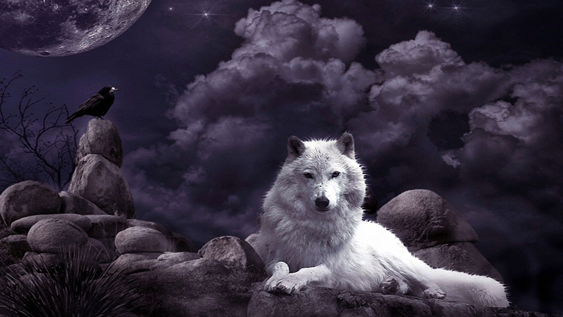Wolf wallpaper, night sky, crow, moon, fantasy art, white wolf, mystic. Wolf wallpaper, Animal wallpaper, Native american spirit animals