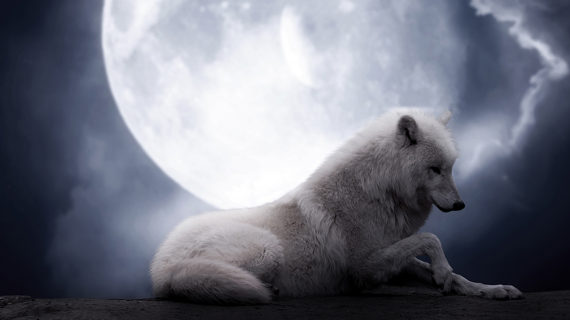 Moon Night White Wolf Wallpaper