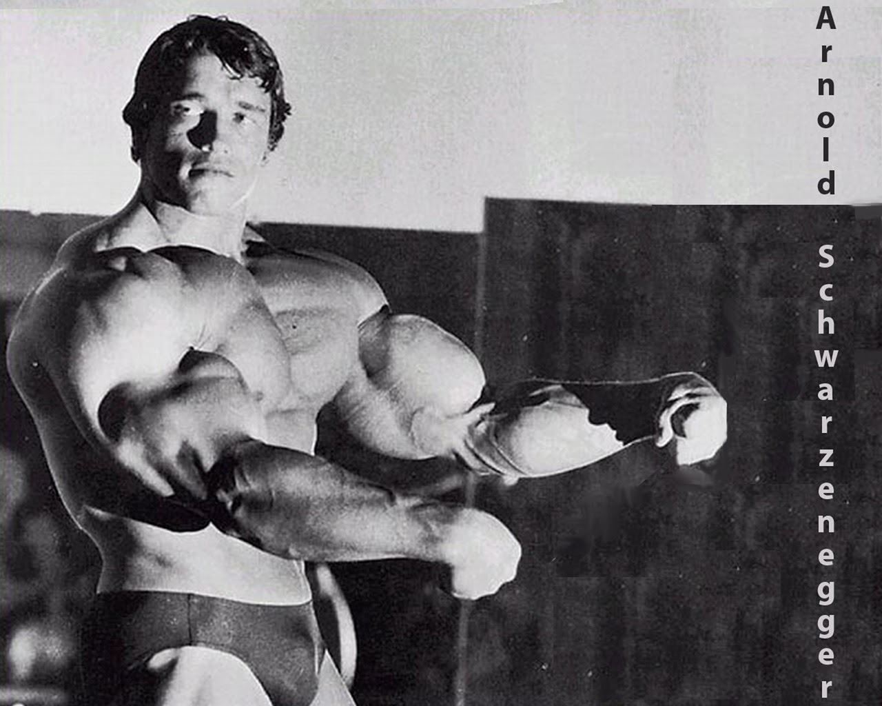 Arnold Pics Pumping Iron