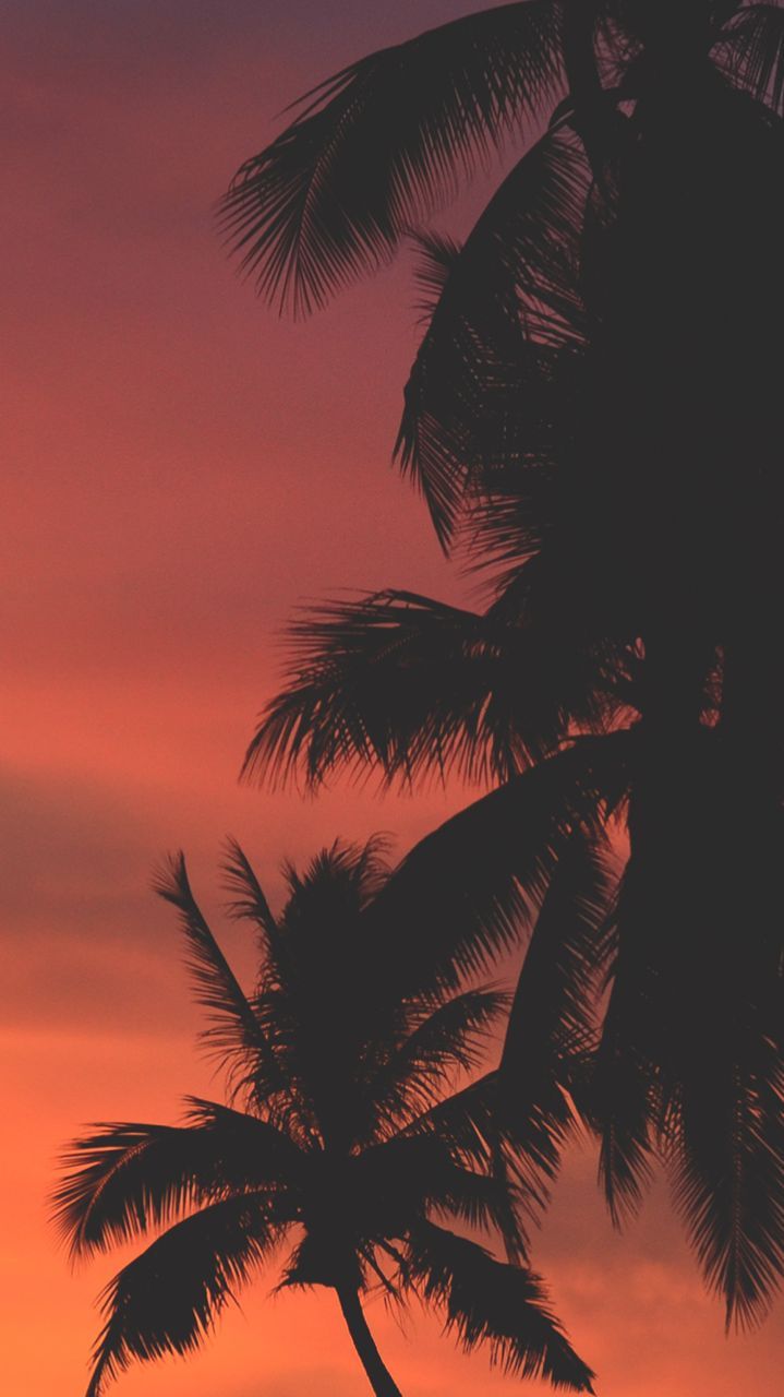 background. Scenery wallpaper, Sky aesthetic, Sunset wallpaper
