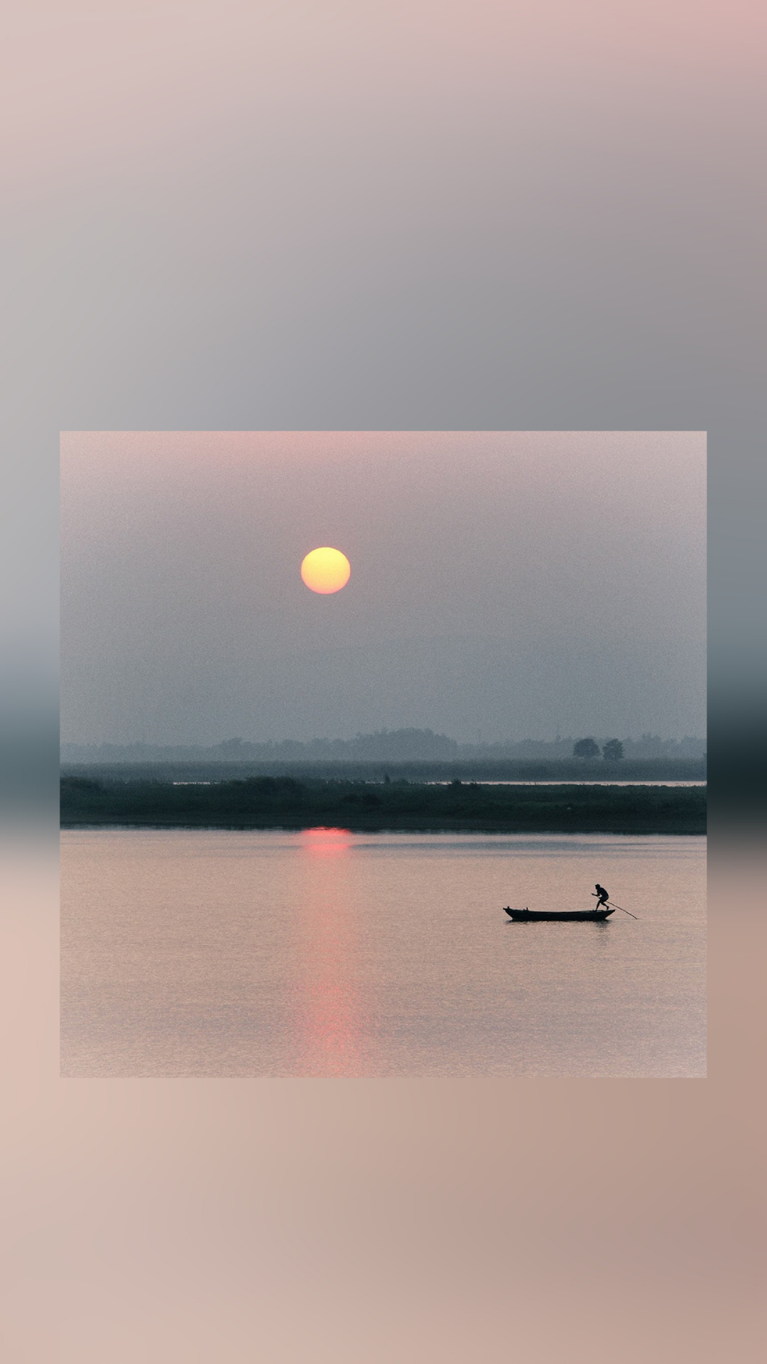 Free iPhone Wallpaper for Summer Violet Journal