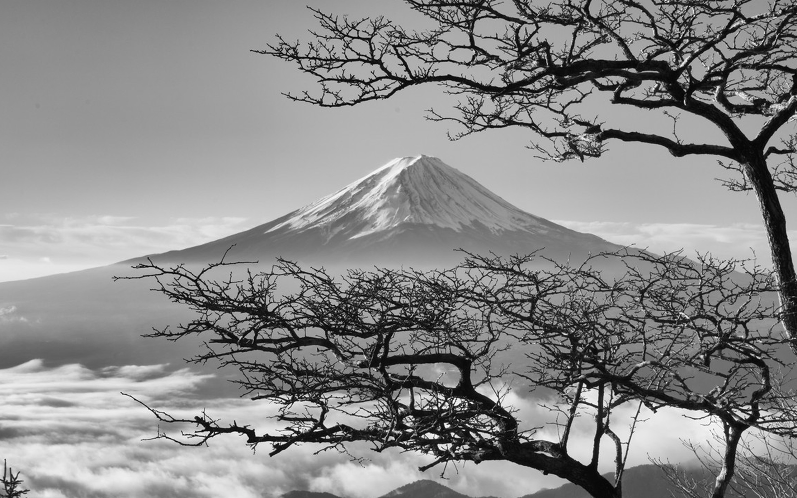 Japan Fuji Maountain Bw Nature Wallpaper