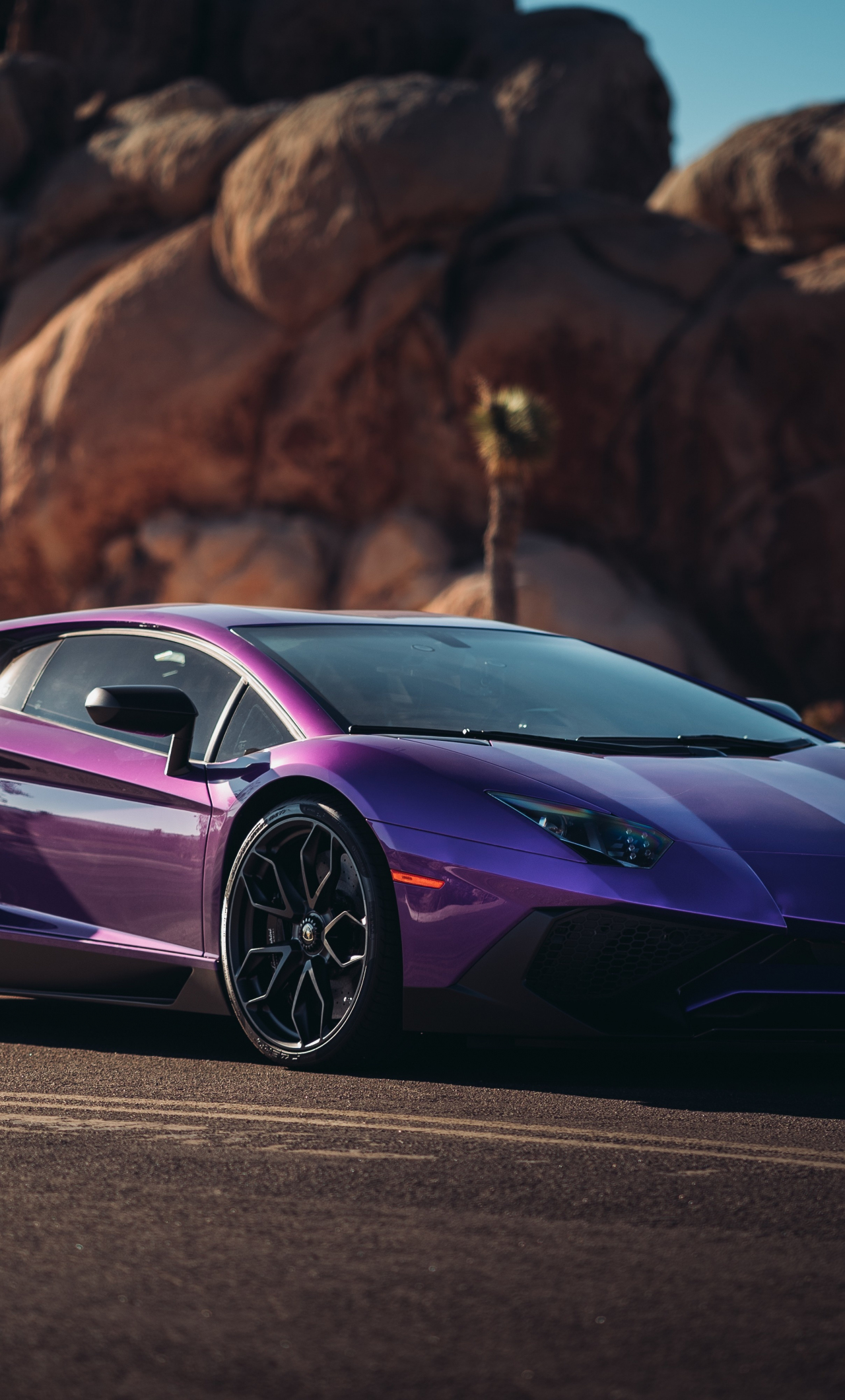 Download lamborghini aventador lp sports car, purple 1280x2120 wallpaper, iphone 6 plus, 1280x2120 HD image, background, 8577