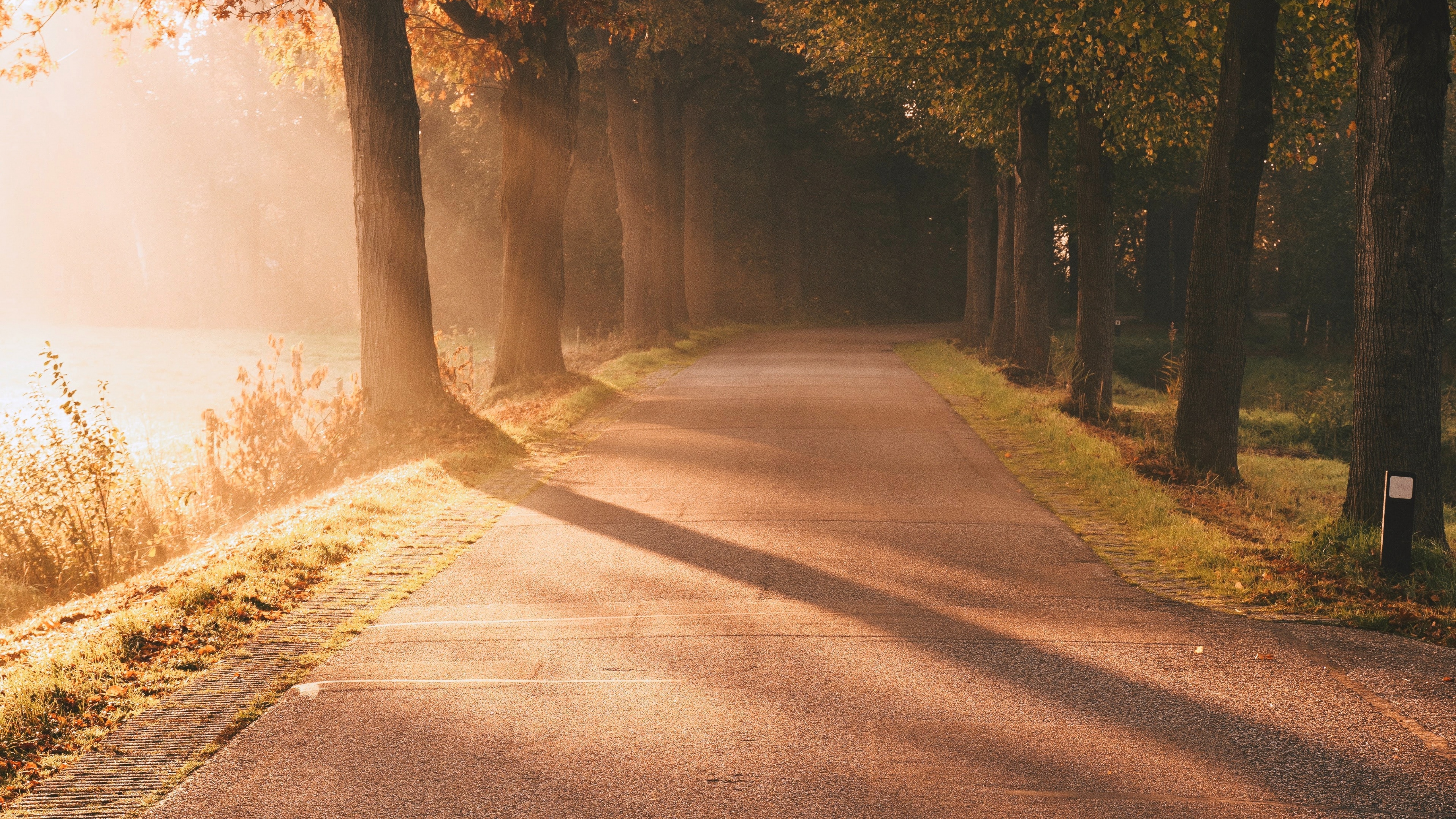 Autumn Wallpaper 4K, Sunlight, Sun rays, Foggy, Morning, Road, Nature