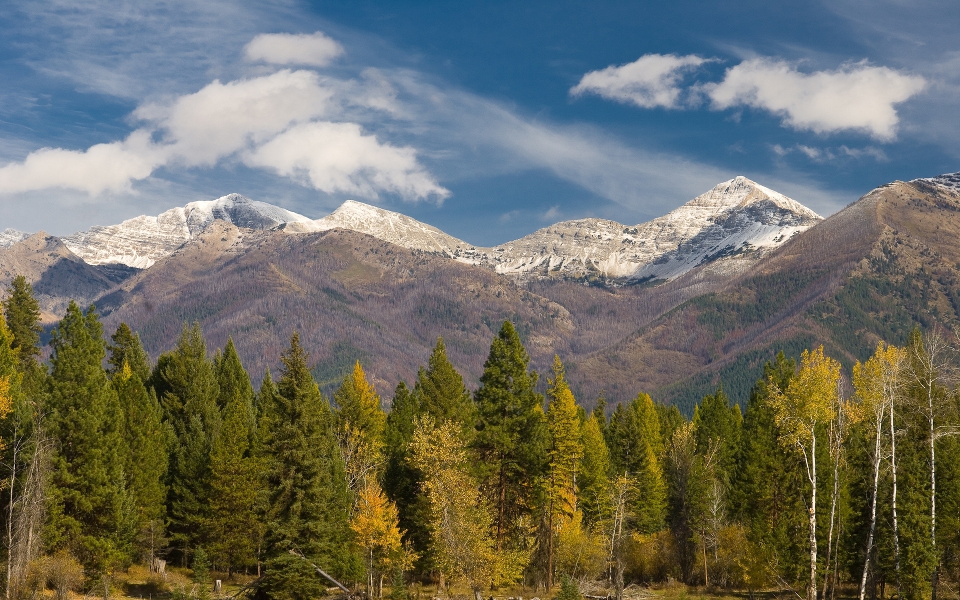 of Welcome 4K wallpaper for your desktop or mobile screen