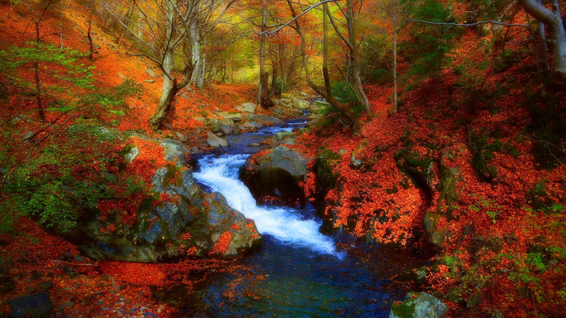 Autumn Sunrays Wallpapers - Wallpaper Cave