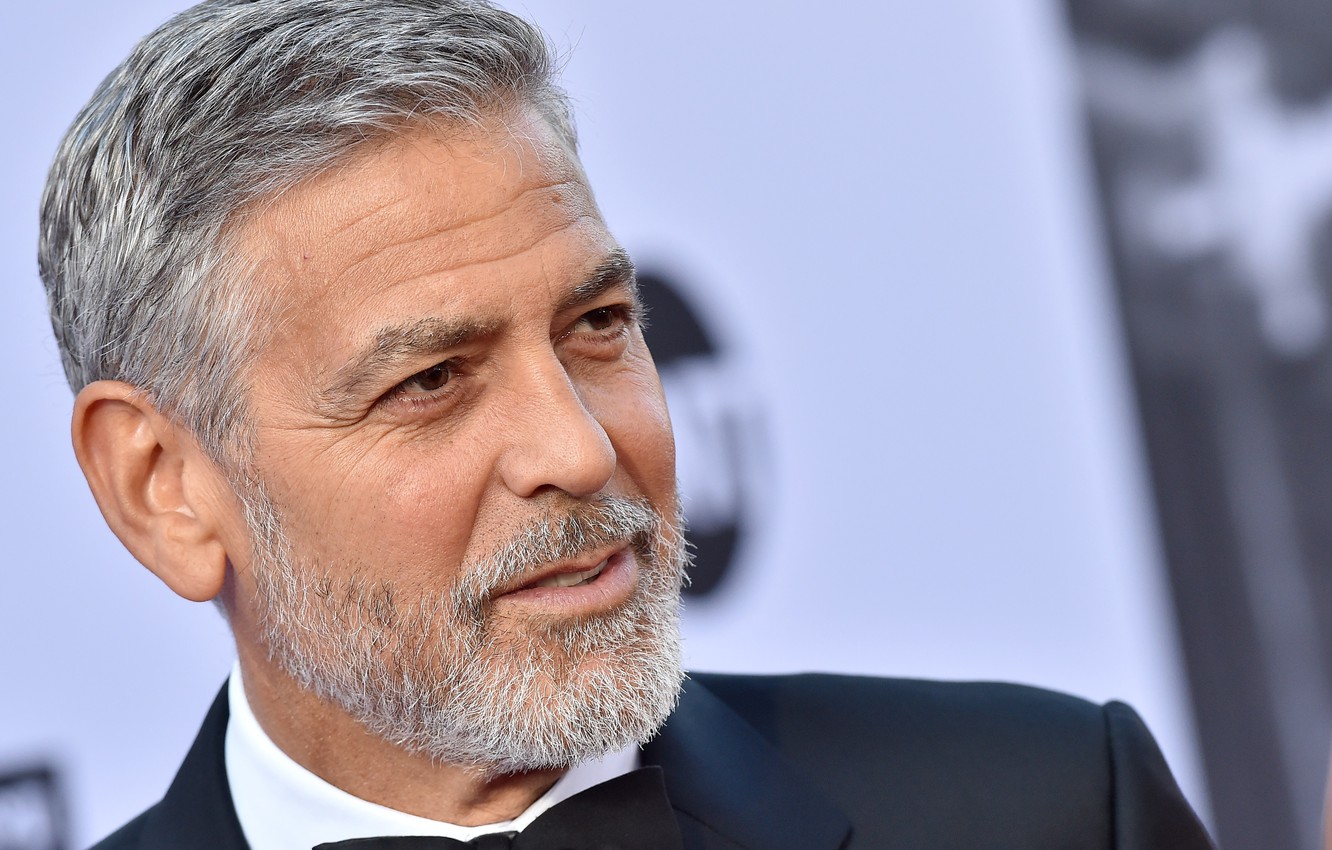 Wallpaper beard, actor, George Clooney, George Clooney, gray image for desktop, section мужчины