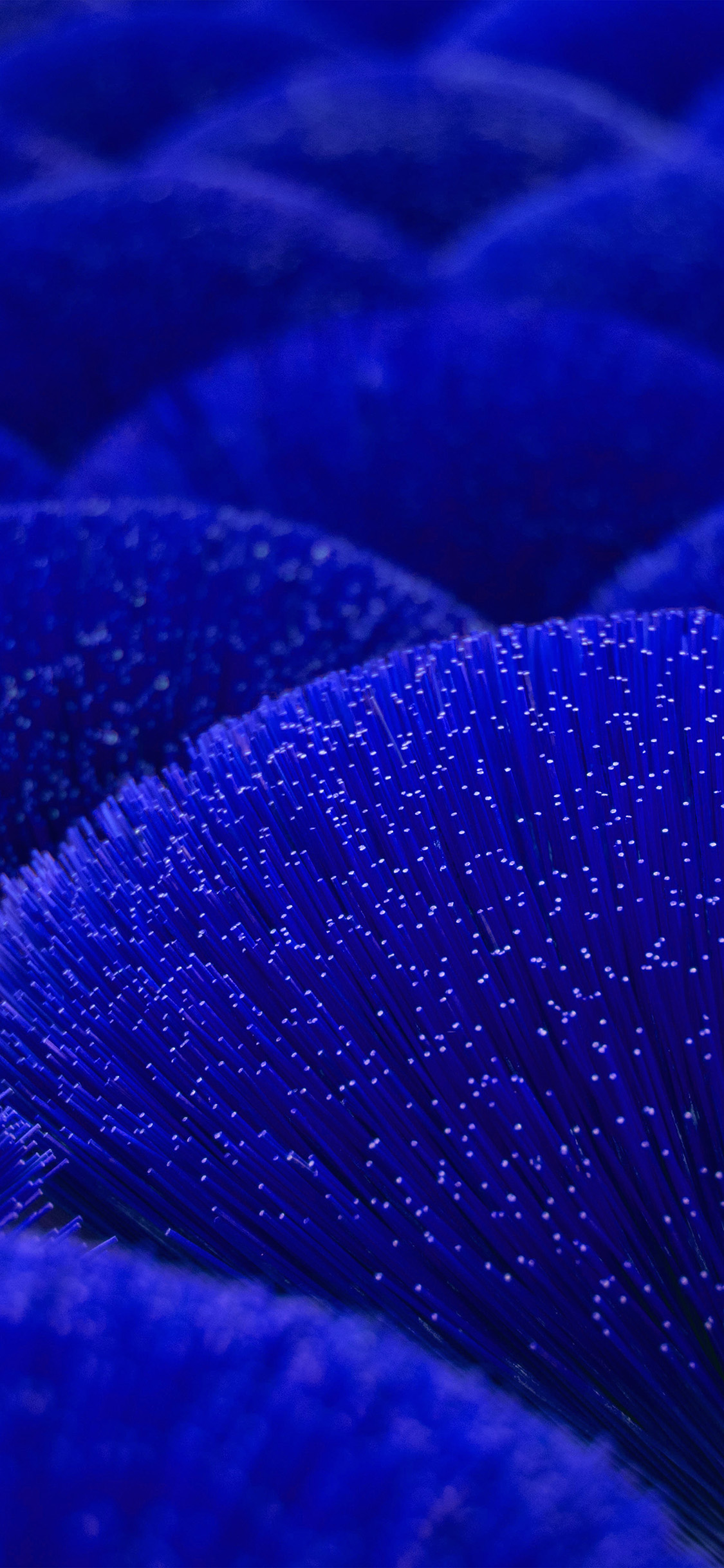 wallpaper. light dot digital