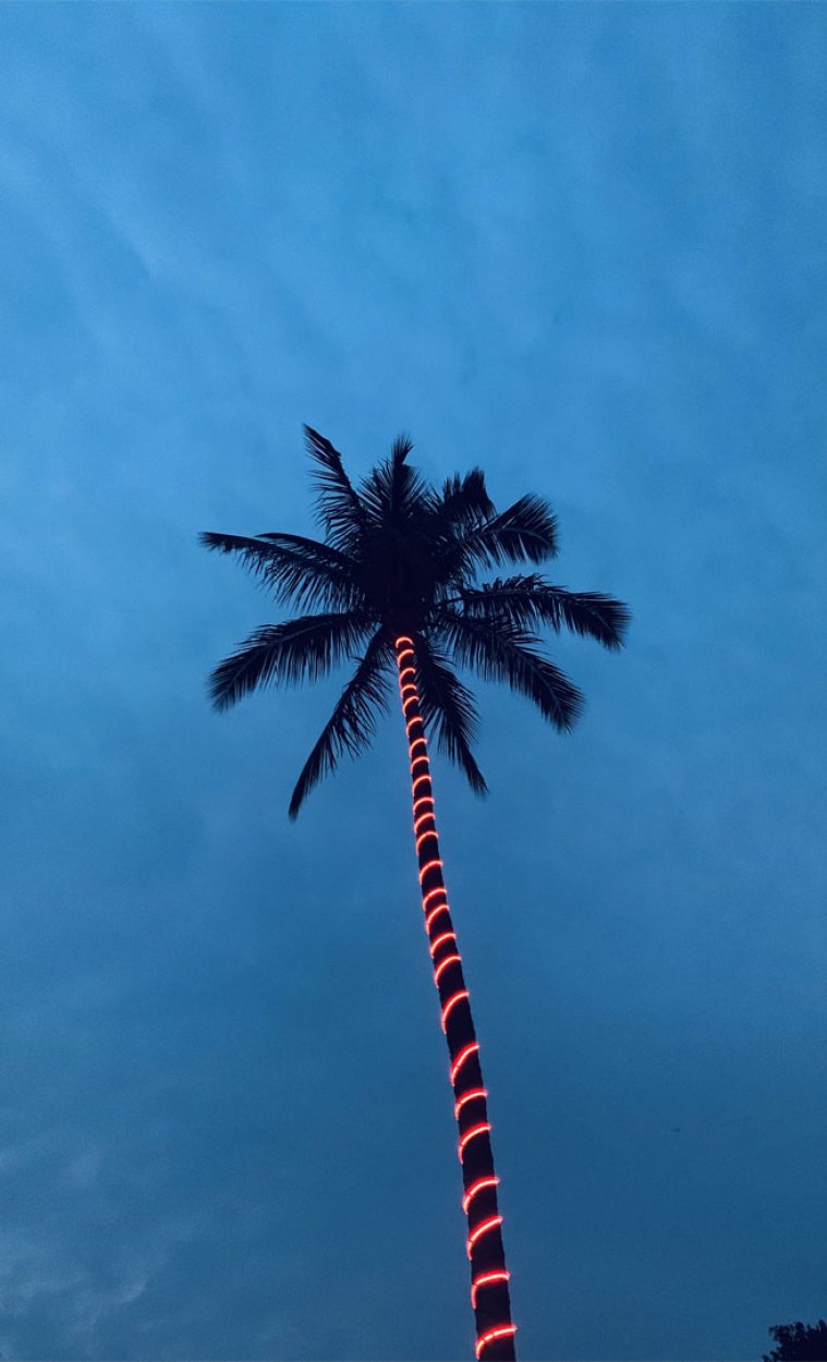 Evening blue sky iPhone wallpaper Wallpaper