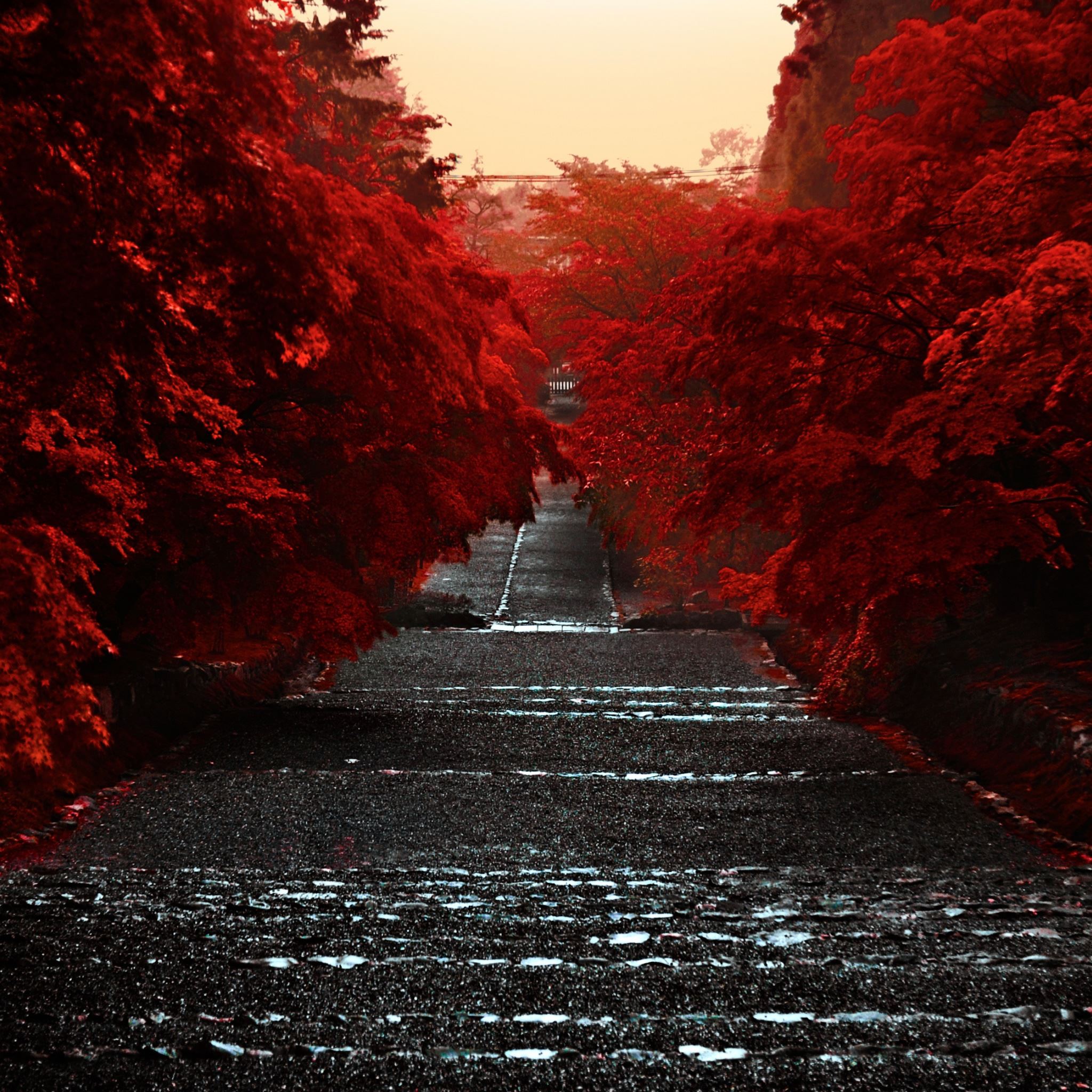 Japan Honshu Island iPad Air Wallpaper Free Download