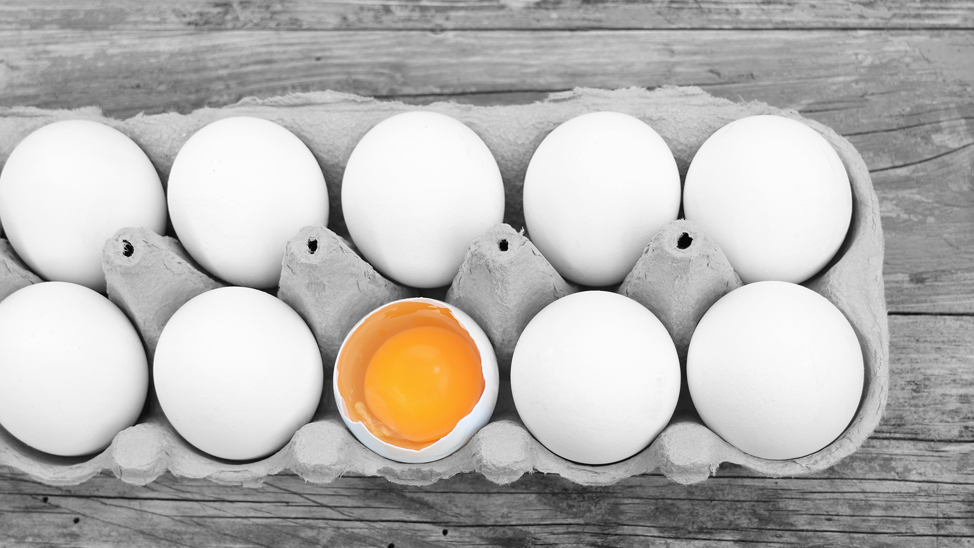 Почему яйцо оранжевое. Желток белок и яйка. Оранжевое яйцо. Оливковые яйца. Яйца с оливками.