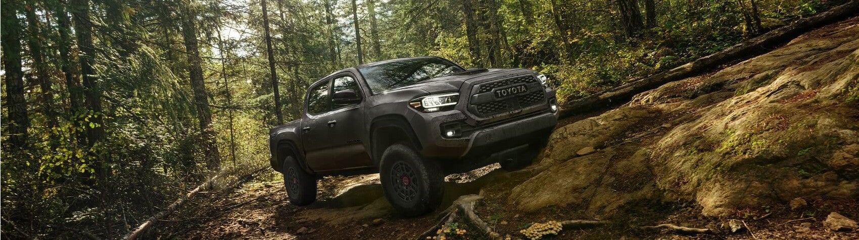 2022 Toyota Tacoma Trim Levels Leesburg FL