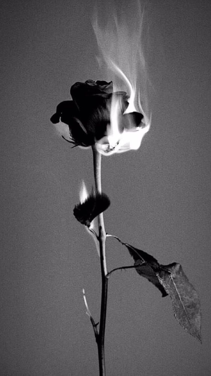 Grey Aesthetic Wallpaper for mobile