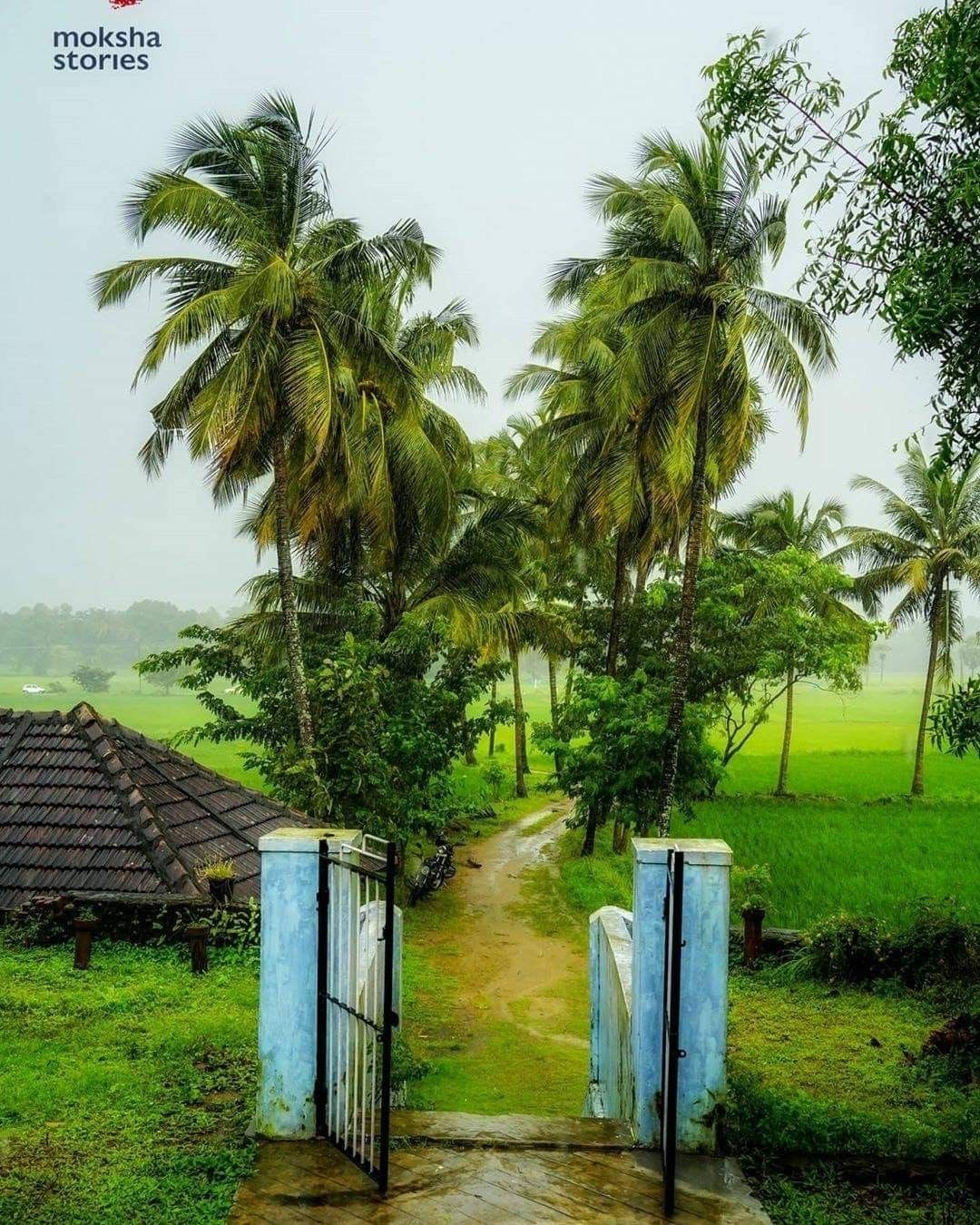 പടിപ്പുര. Beautiful places to visit, Beautiful photo of nature, Nature wallpaper