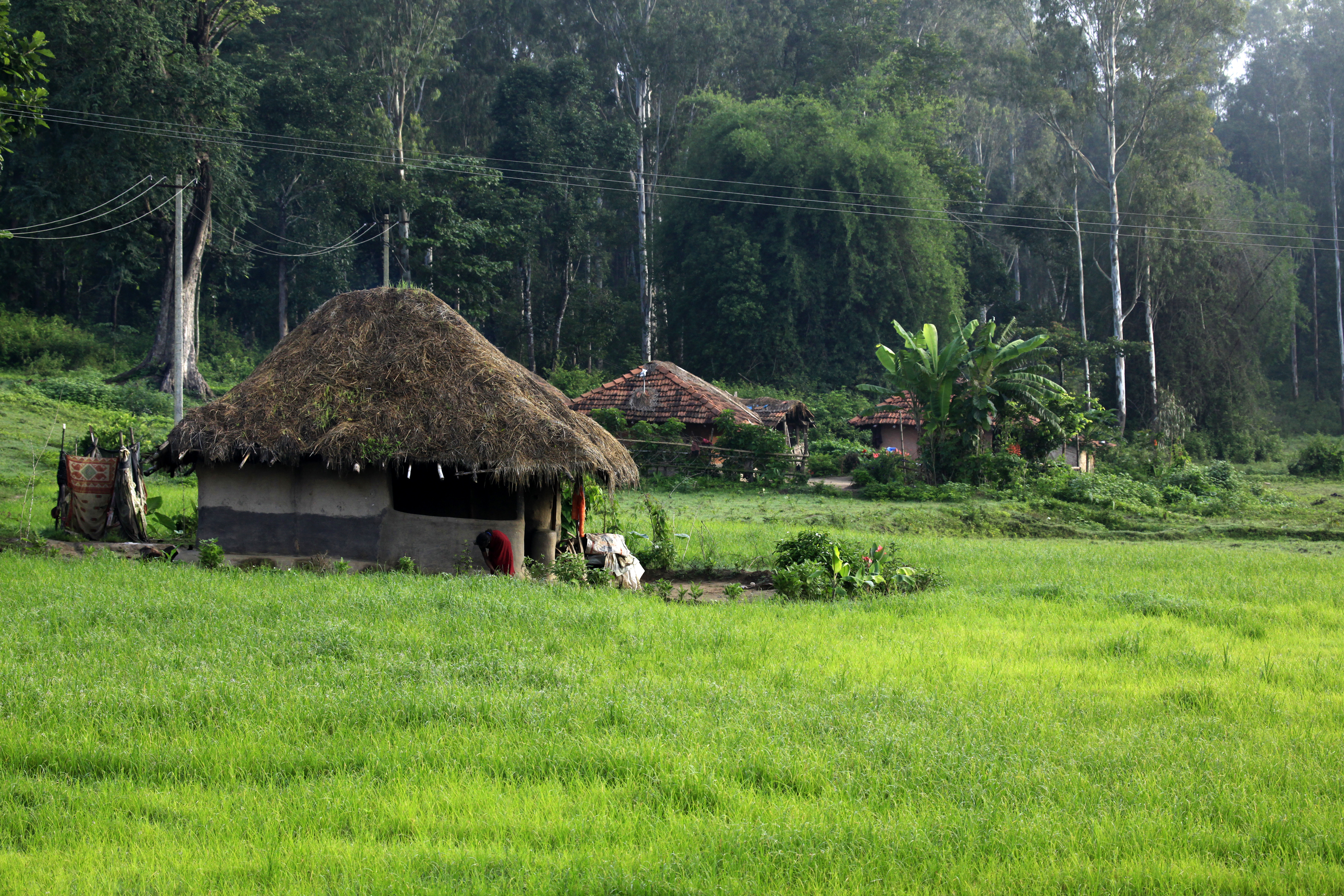 Village Life