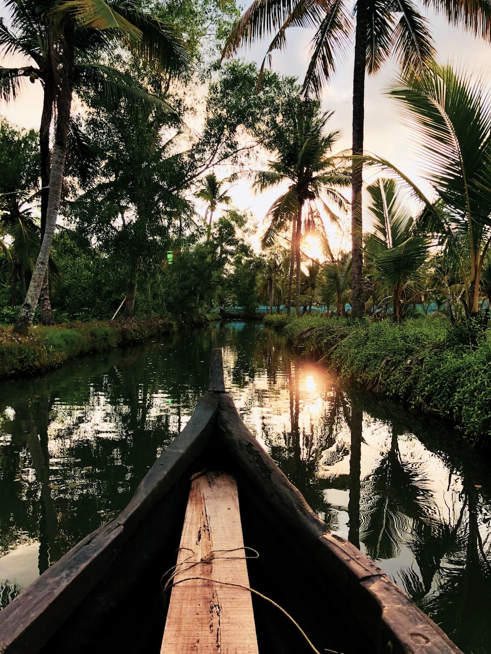 Kerala Backwaters Picture. Download Free Image