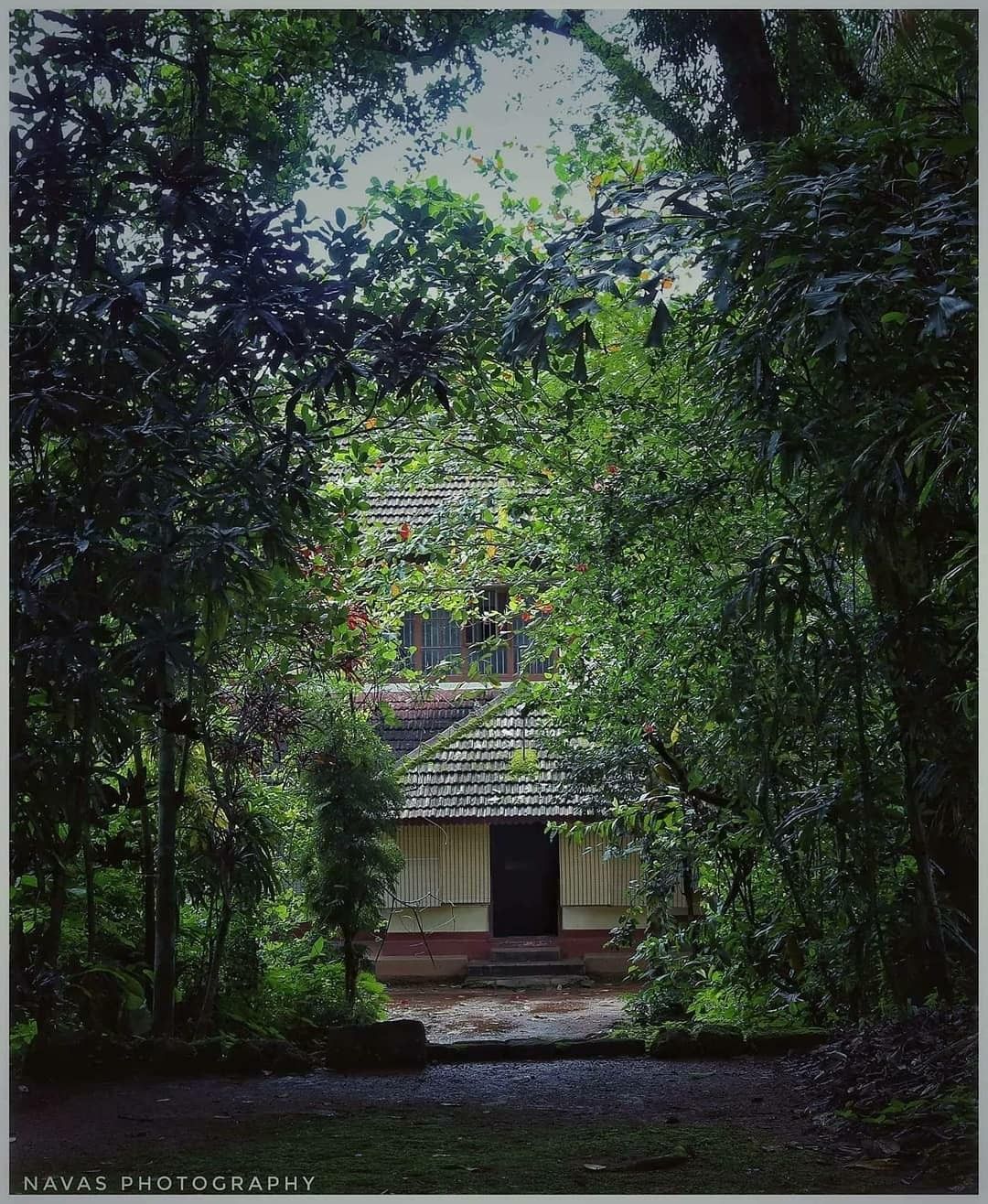 Kerala, Home, God's Own Country. Village photo, Village house design, Kerala travel