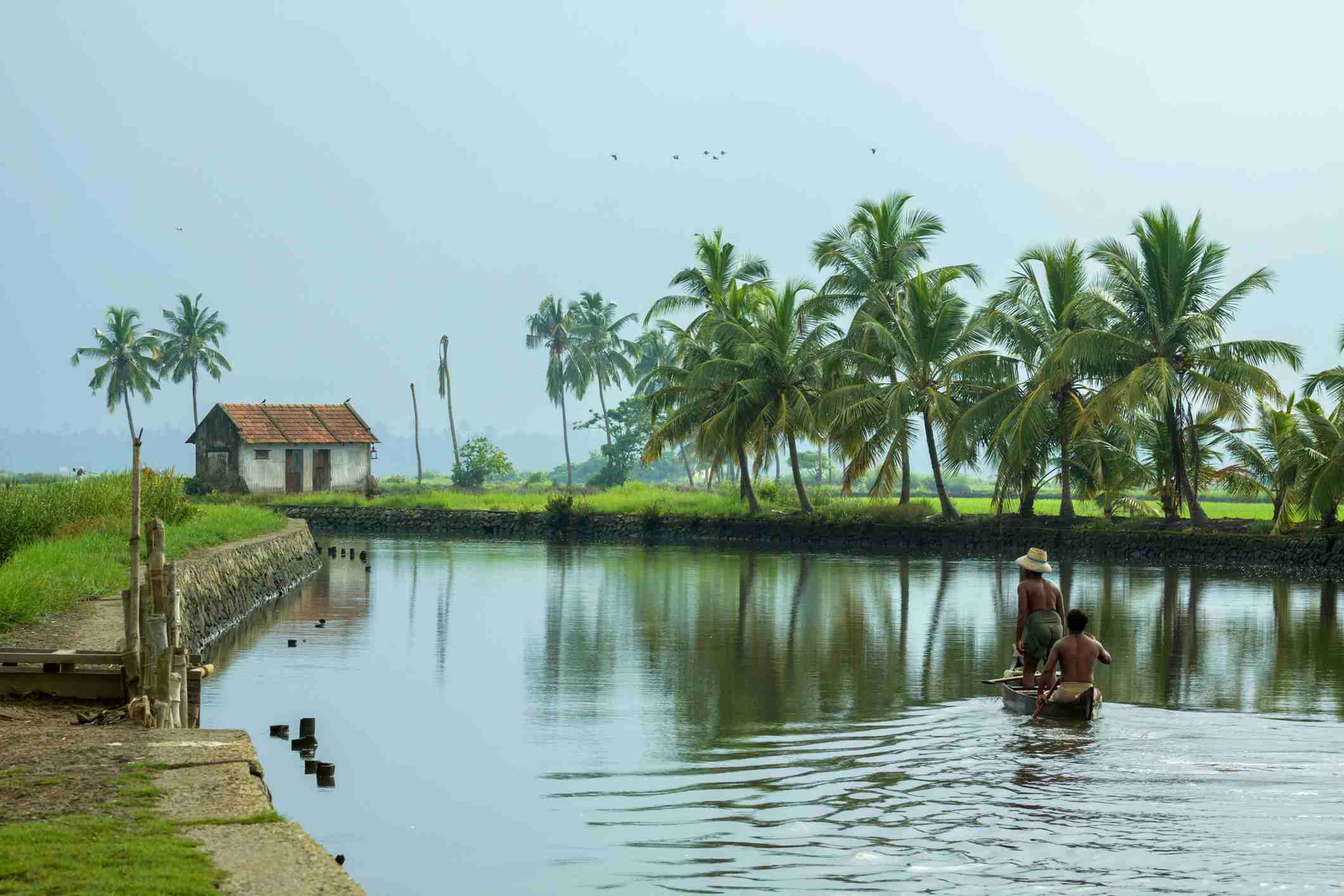 Kerala Backwaters Wallpaper Free Kerala Backwaters Background