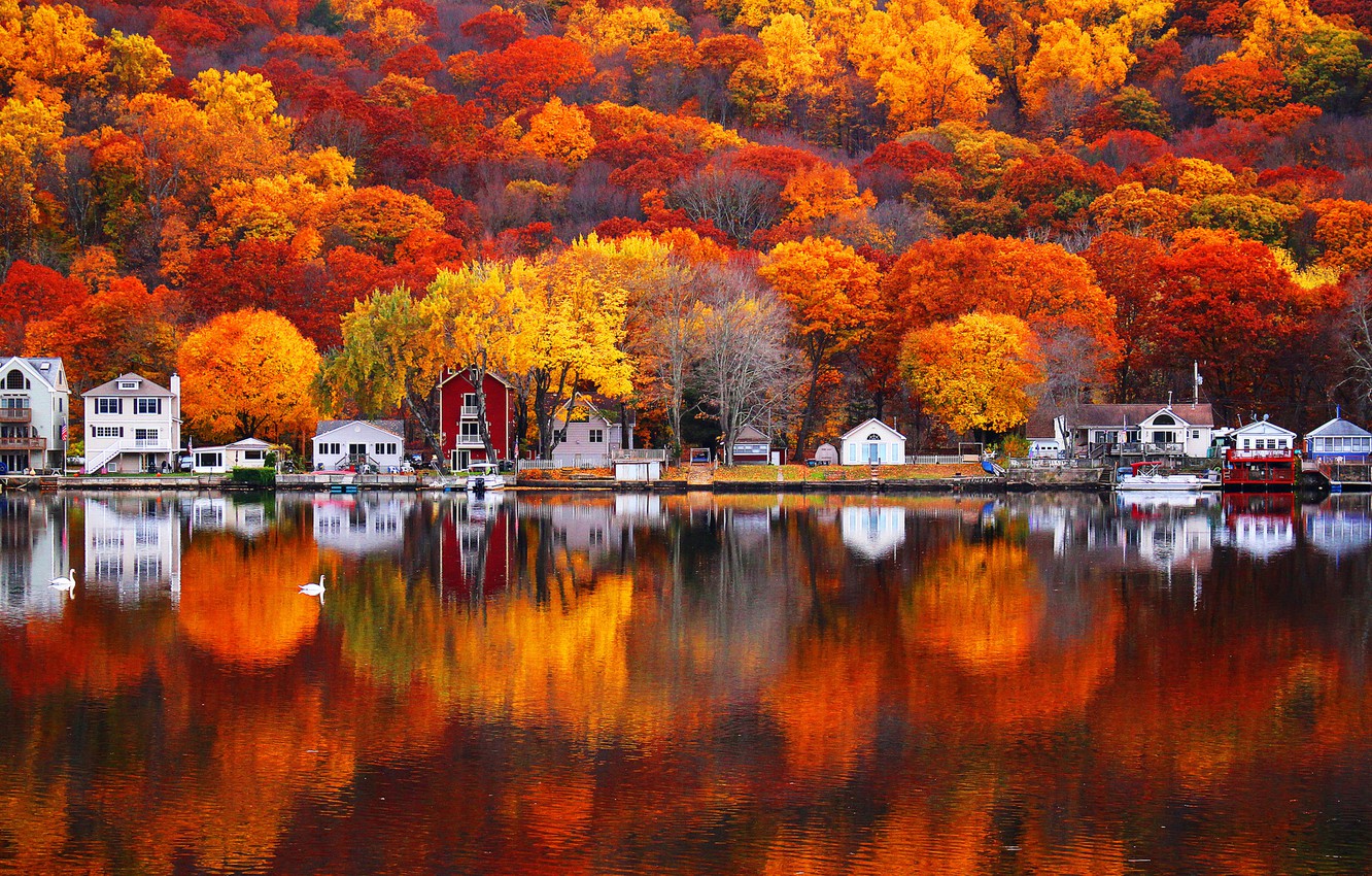 Wallpaper autumn, leaves, trees, nature, lake, reflection, paint, home, slope image for desktop, section пейзажи