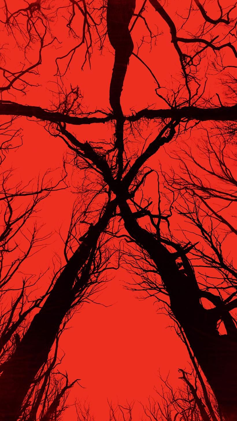 The Witch Phone Wallpaper. Moviemania. Witch wallpaper, Blair witch, Satanic art