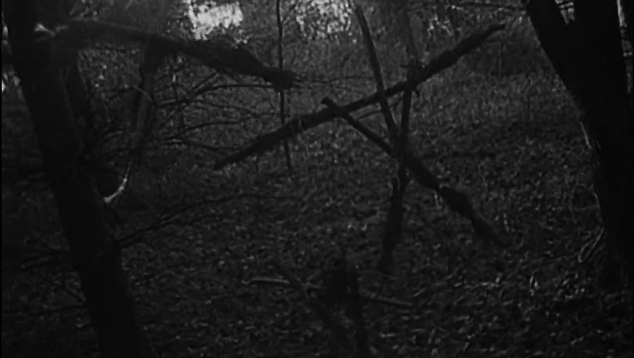Confessions of a Fearphile: The Blair Witch Project