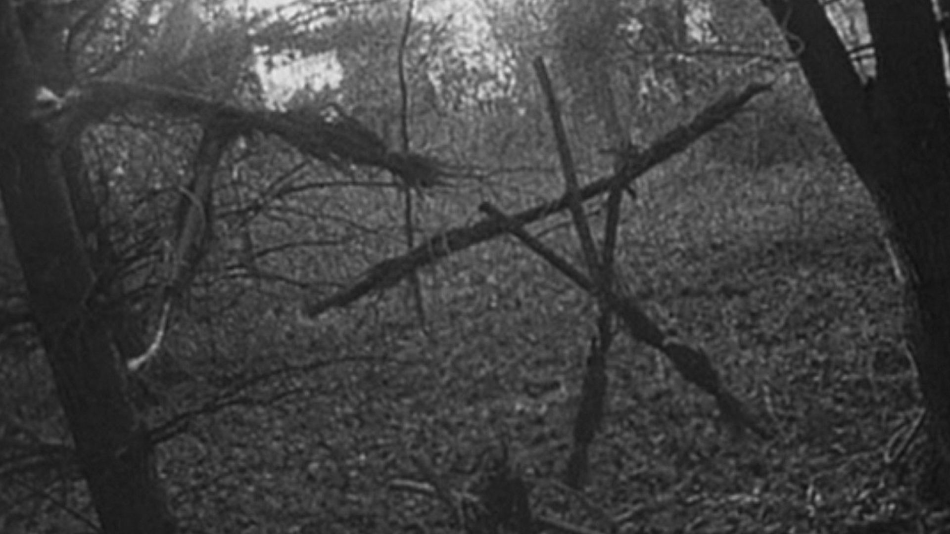 The Blair Witch Project Wallpapers Wallpaper Cave the-blair-witch-project-wallpapers-wallpaper-cave