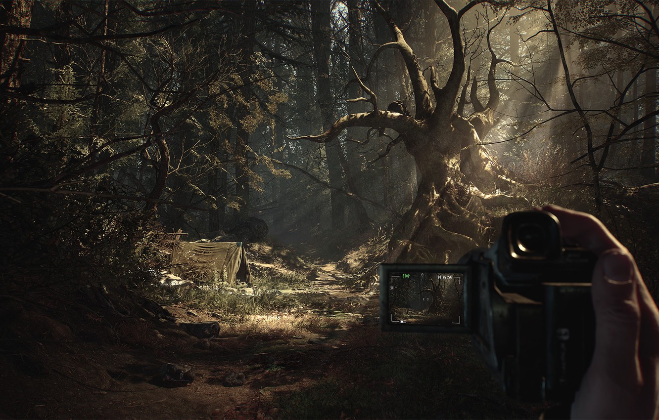 Wallpaper Game, Horror, Blair witch, Bloober Team, Blair witch image for desktop, section игры