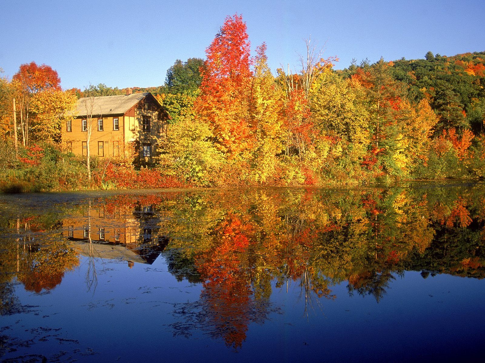 Free Fall Desktop Background. Fall getaways, Berkshires, Weekend escape