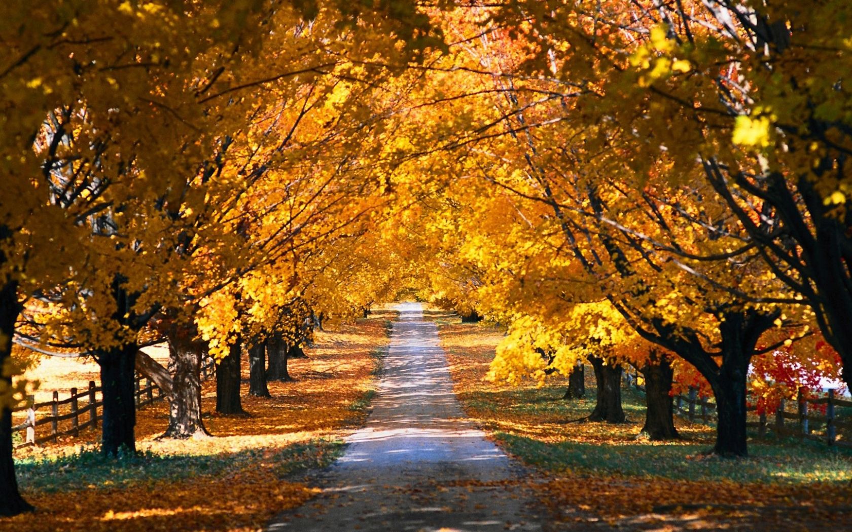 Massachusetts Autumn Wallpapers - Wallpaper Cave