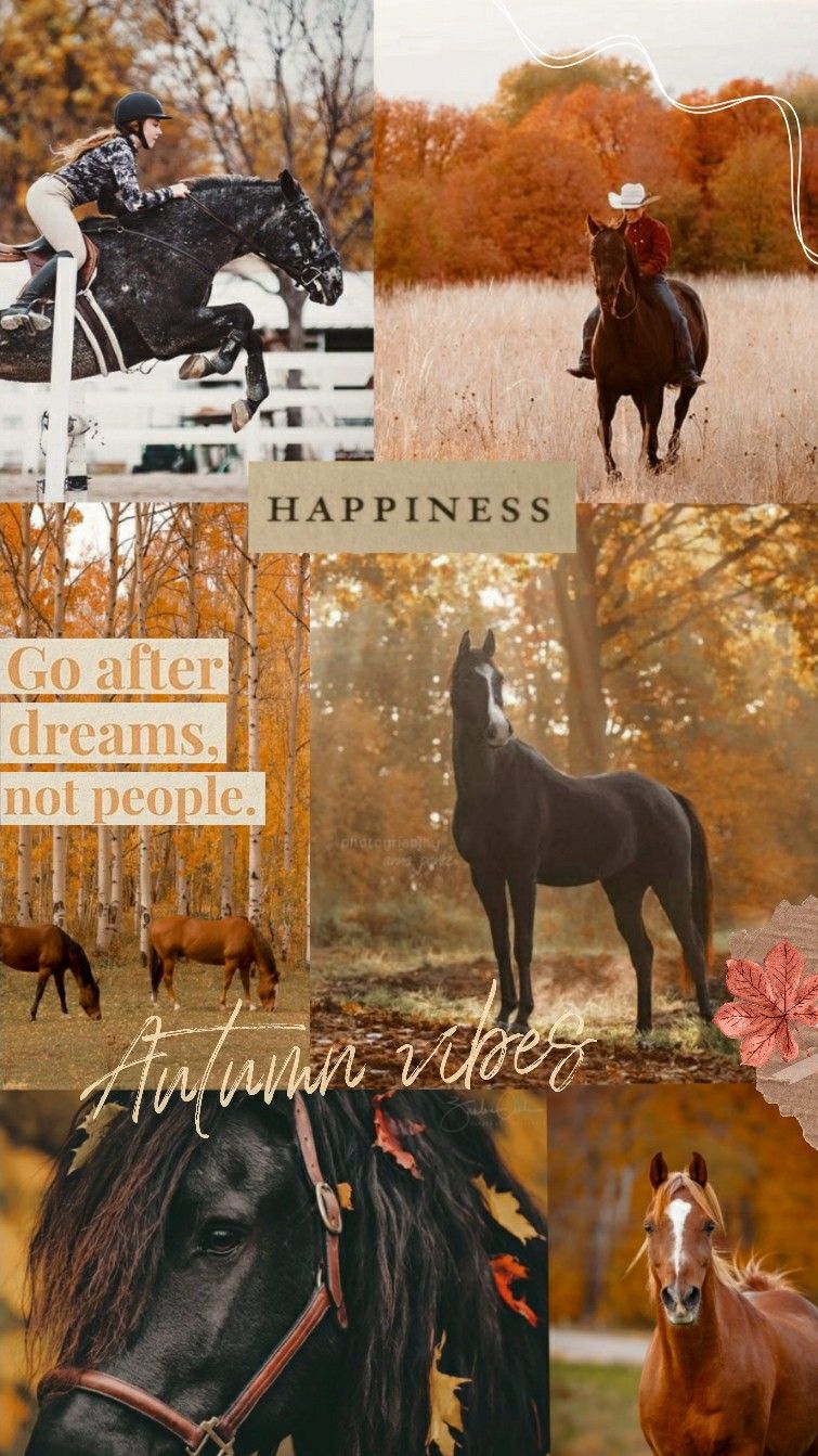 Horse autumn background. Horse wallpaper, Cute horse picture, Horse background