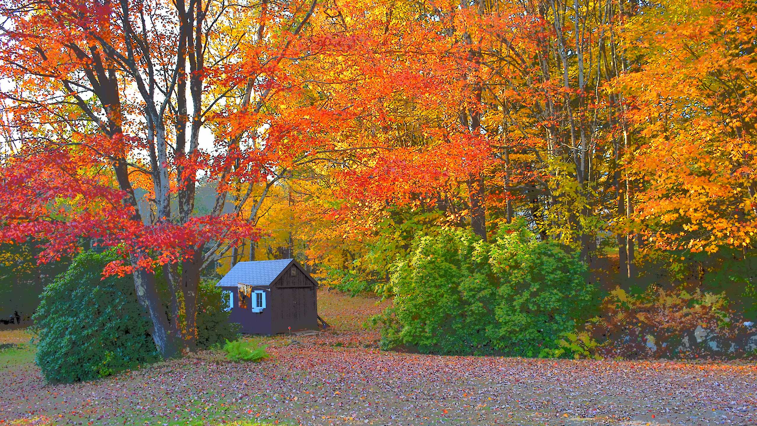 New England Fall Guide: 16 Best Things to Do in New England this Autumn