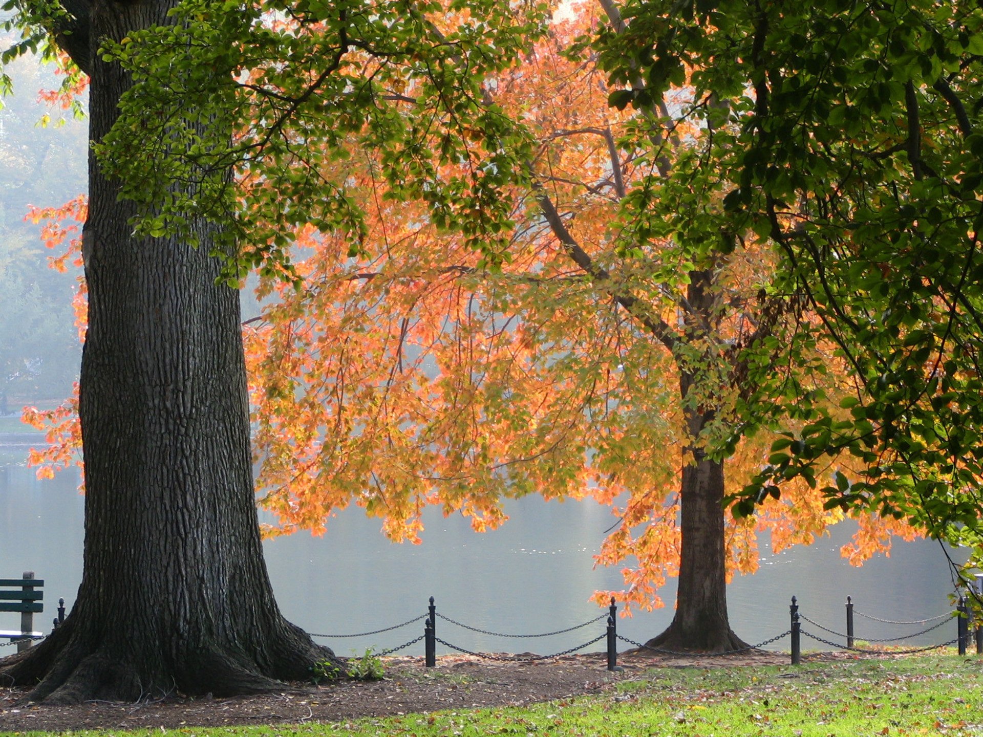 Best Time to See Massachusetts Fall Foliage 2022 to See