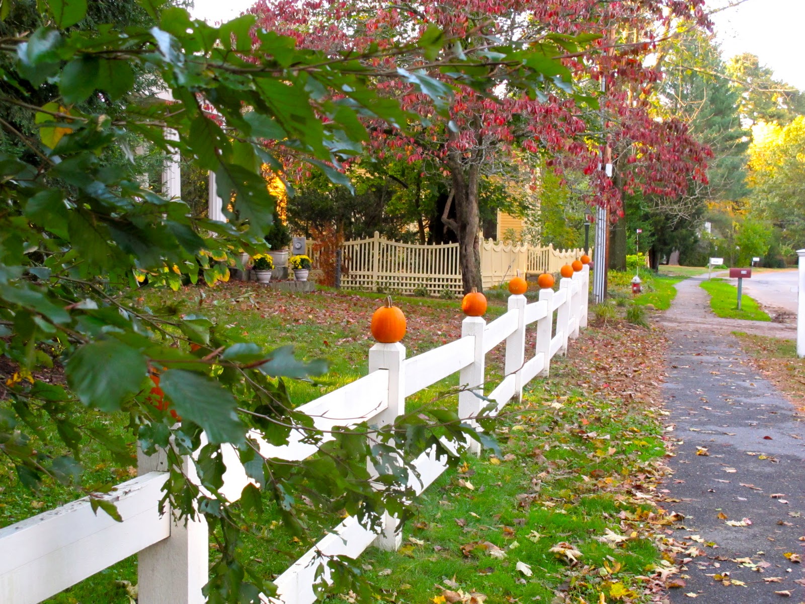 Fall Foliage in Concord Mass. New England Fall Foliage Tour