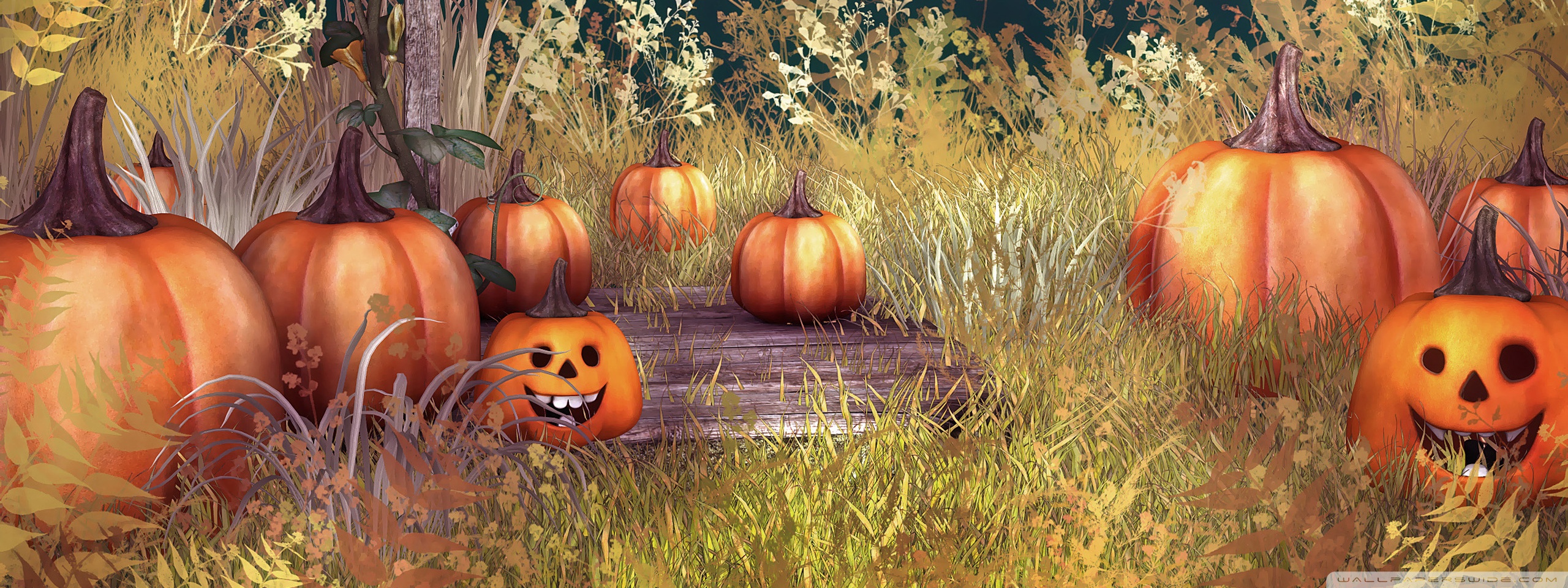 Halloween Pumpkins Ultra HD Desktop Background Wallpaper for 4K UHD TV, Multi Display, Dual Monitor, Tablet