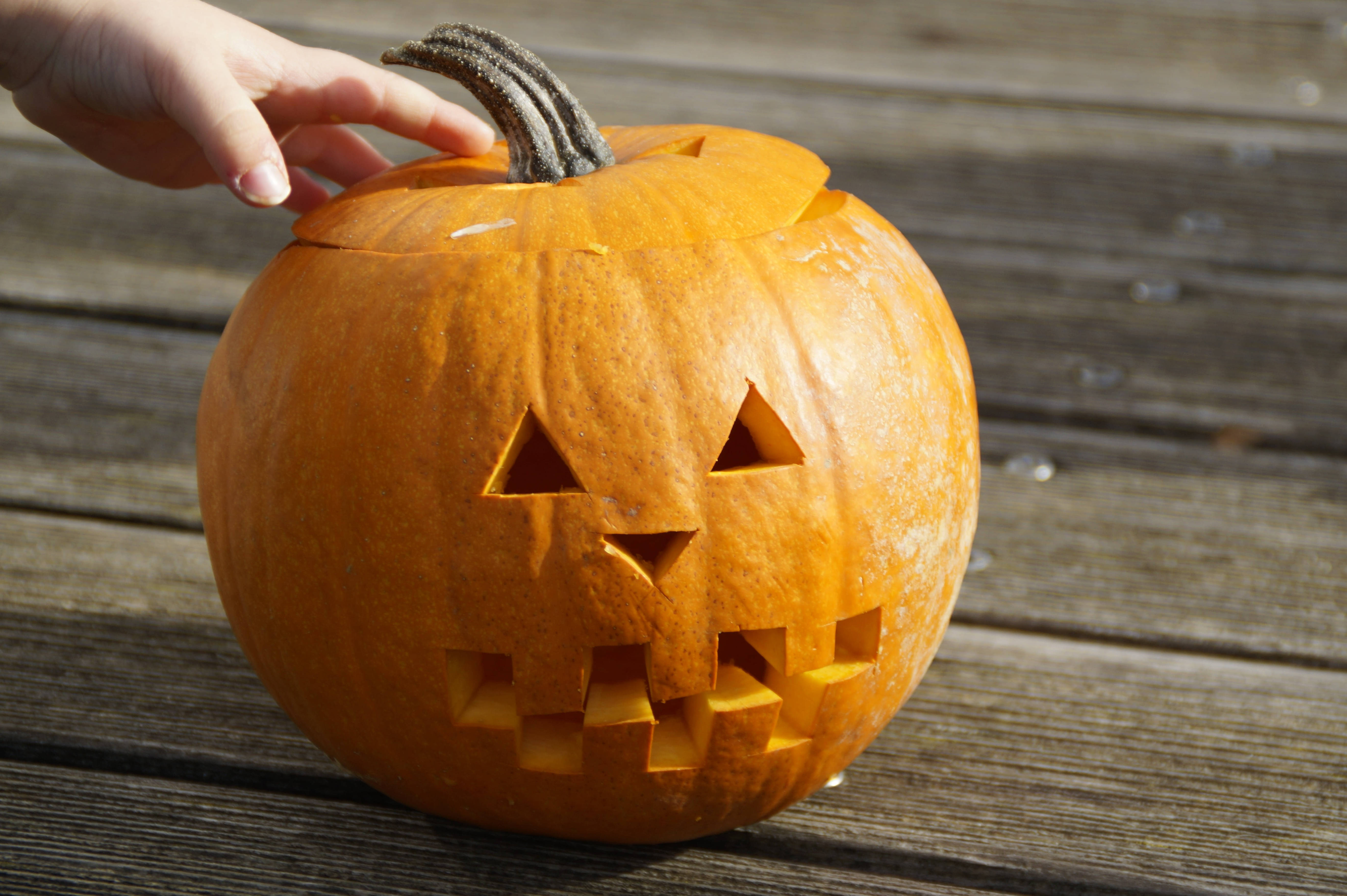 Download Cute Halloween Pumpkin Touch Wallpaper