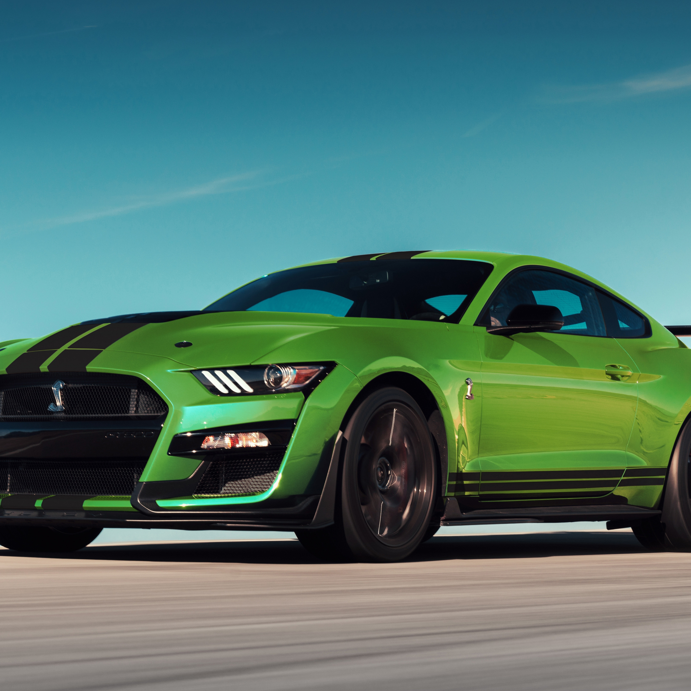 Download green, ford mustang shelby gt500 2248x2248 wallpaper, ipad air, ipad air ipad ipad ipad mini ipad mini 2248x2248 HD image, background, 24402